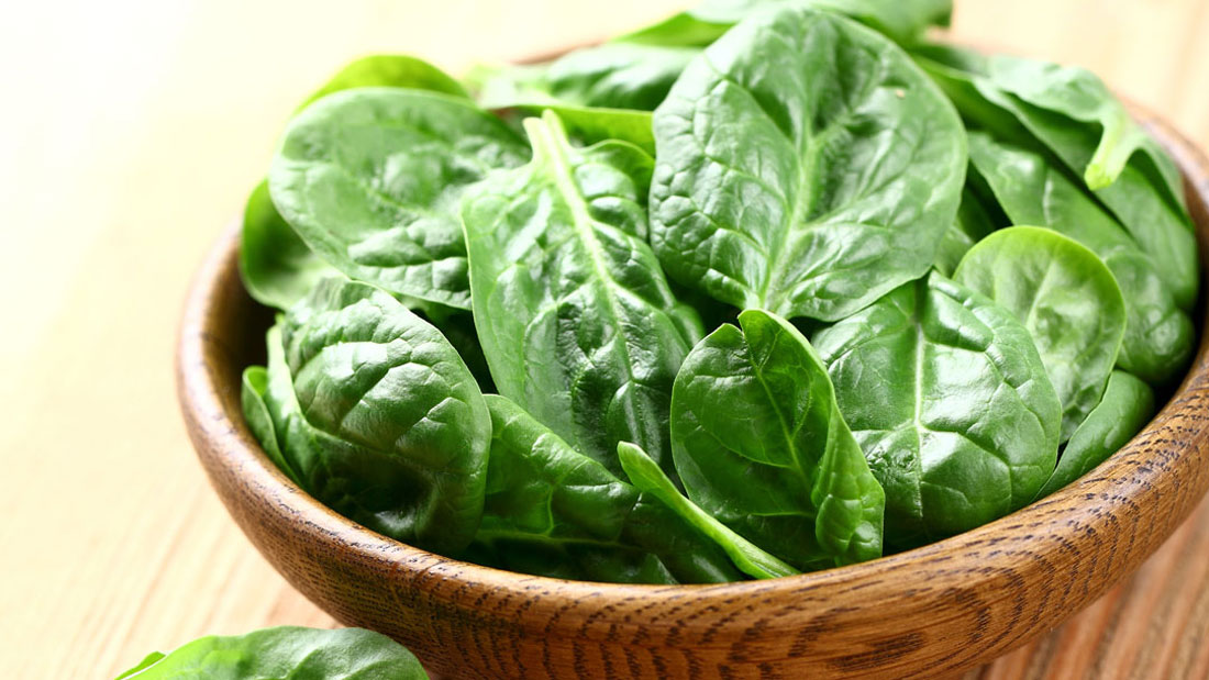 菠菜芳香化酶 MenElite