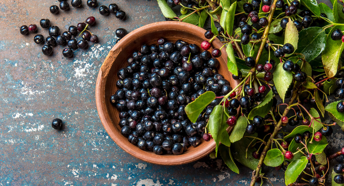 浆果芳香化酶 MenElite